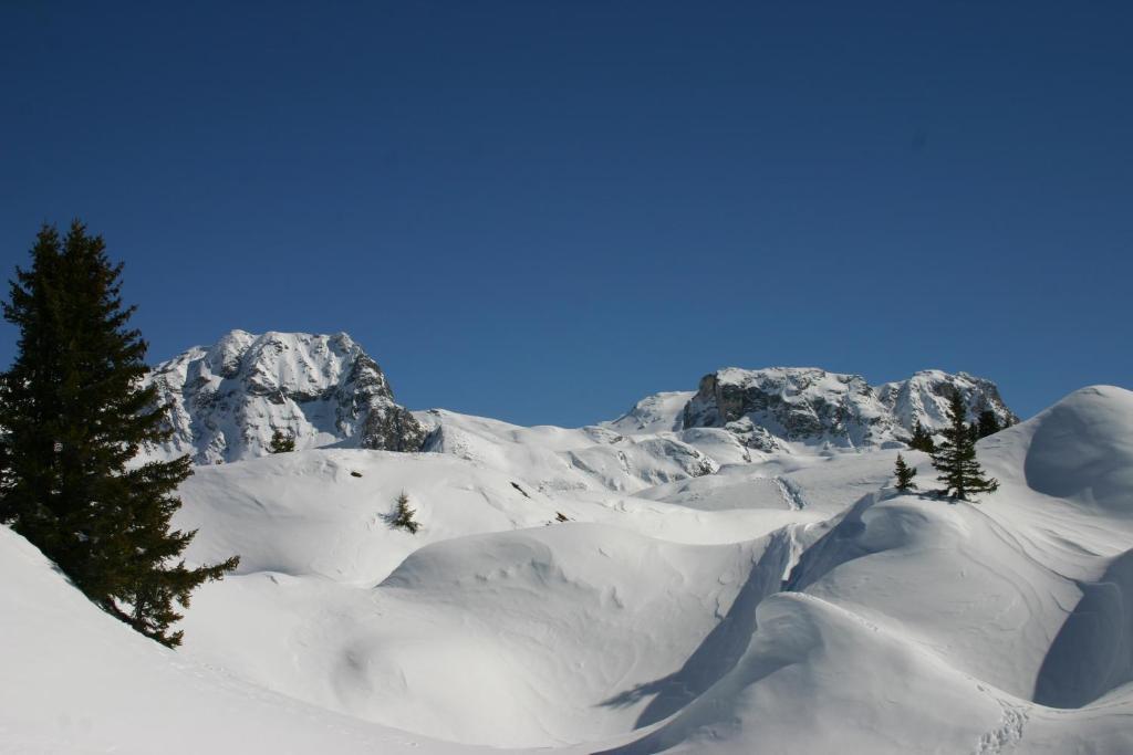 Madame Vacances Les Chalets Du Praz La Plagne Ngoại thất bức ảnh